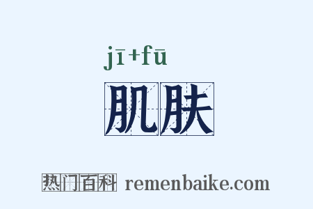 肌肤是什么意思的图片